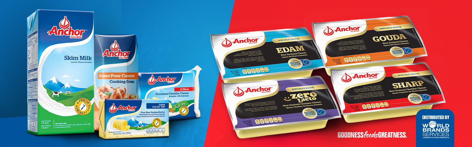 WBS_Anchor_WEBSITE BANNER_1600X500